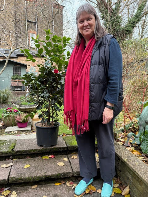 Camellia donated by Lesley Buchan and won by Linda Almond