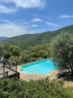 Farmhouse on the border of Tuscany and Umbria donated by Liz & Andrew Sich and won by Rachel Lewis(pool)